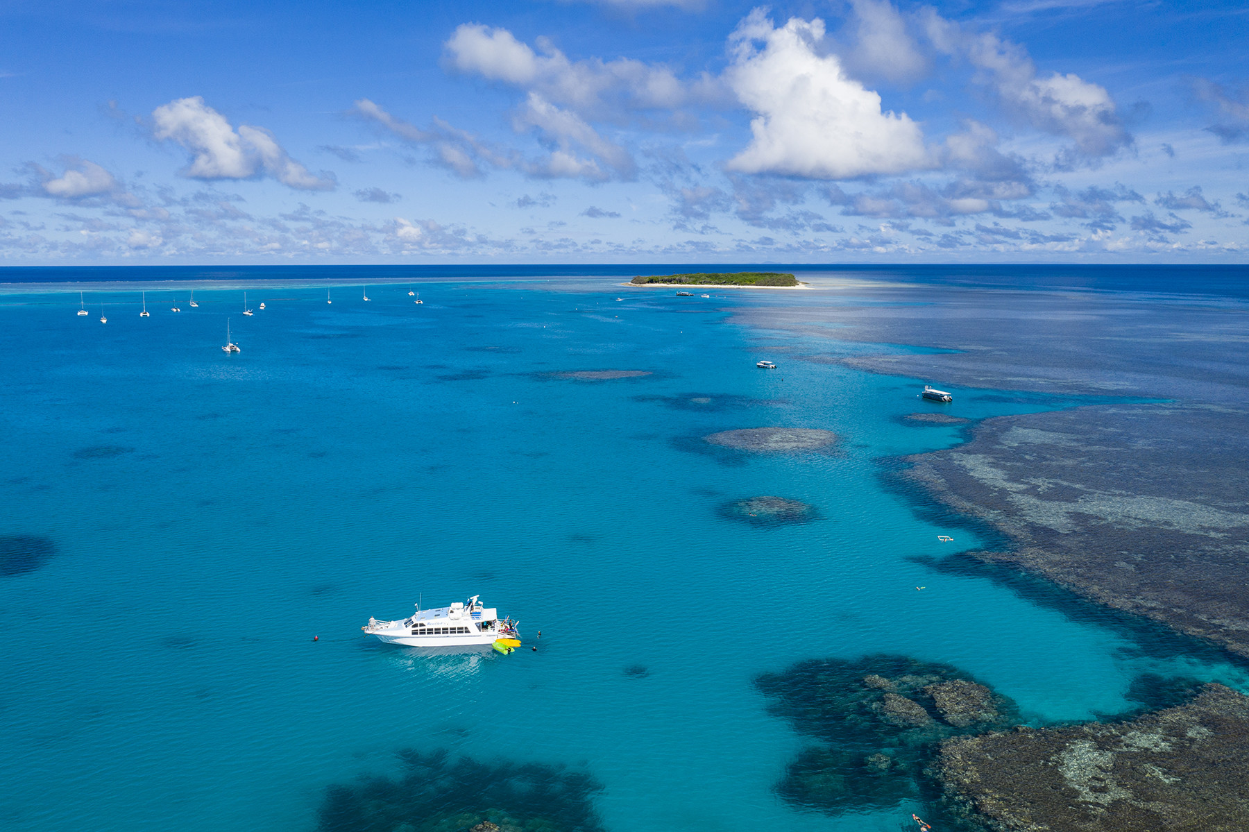 Lady Musgrave Island