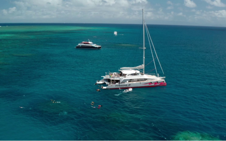Passions of Paradise, Dreamtime Dive & Snorkel, Aroona Luxury Boat Charters together at Milln Reef to kick off Great Reef Census (must credit_ Citizens of the Great Barrier Reef)