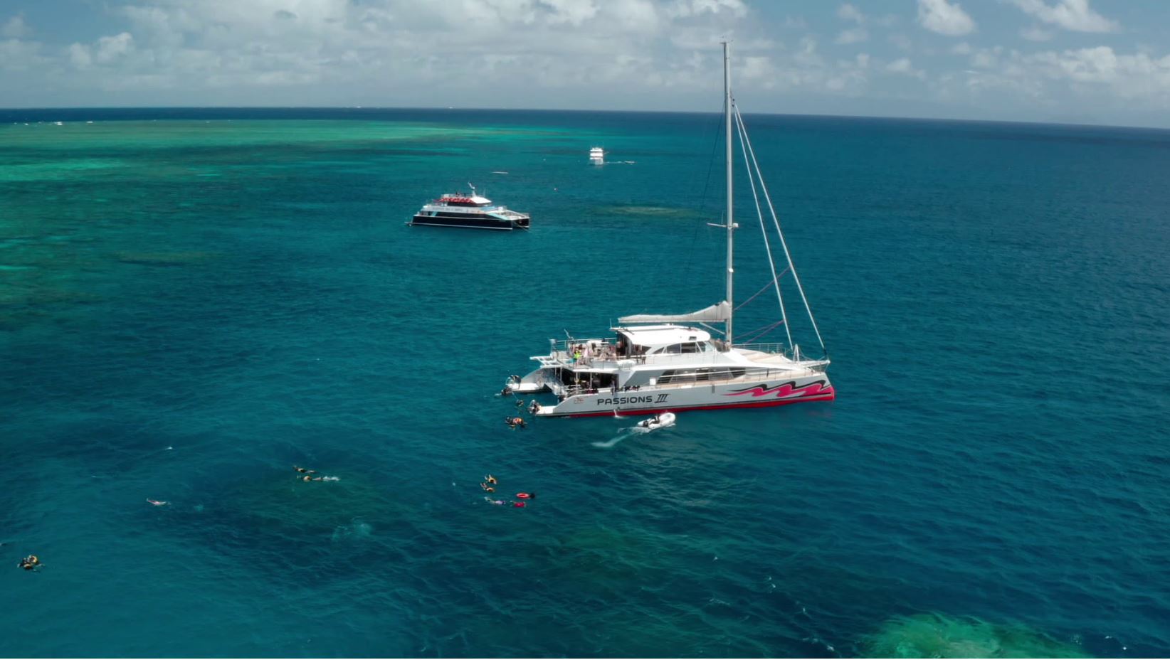 Passions of Paradise, Dreamtime Dive & Snorkel, Aroona Luxury Boat Charters together at Milln Reef to kick off Great Reef Census (must credit_ Citizens of the Great Barrier Reef)