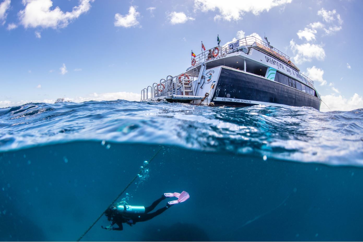 Split shot – Michelle Barry dives from Dreamtime Dive & Snorkel as part of the Great Reef Census (must credit_ Citizens of the Great Barrier Reef)